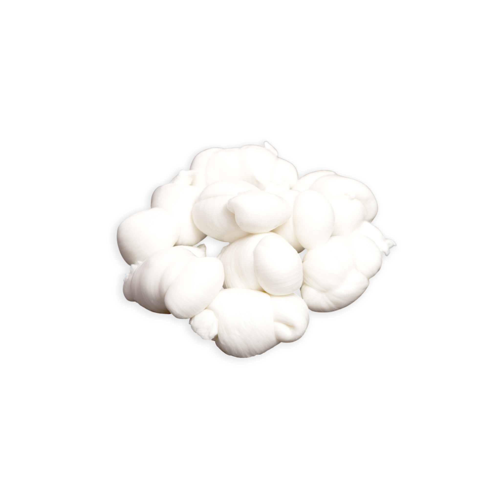 Mozzarelle250g
